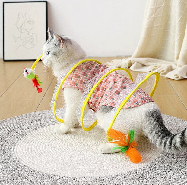 Cat Coil Spring Toy For Indoor Cats - Libiyi